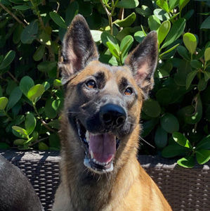 Meet your Posher, Valentina